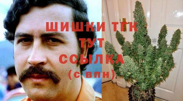 амф Анива