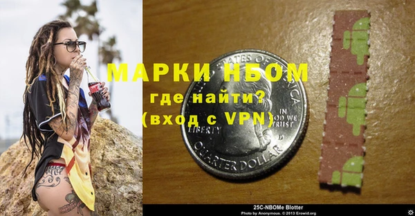 амф Анива