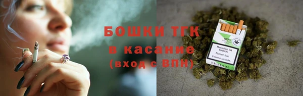 гидра Надым