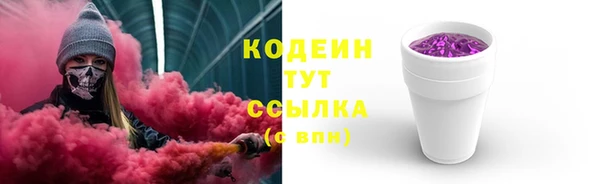 амф Анива