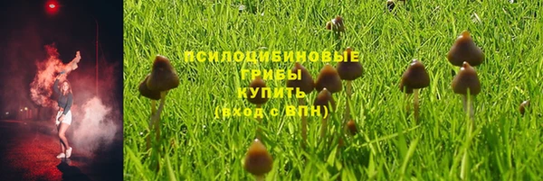 молекула духа Анжеро-Судженск