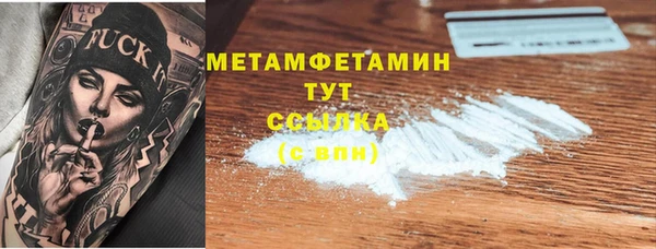 гидра Надым