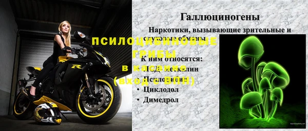 гидра Надым