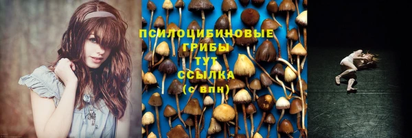 амф Анива