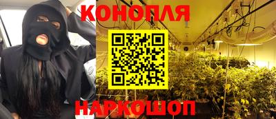 сатива Гагарин