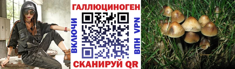hydra сайт  Дятьково  Галлюциногенные грибы ЛСД 