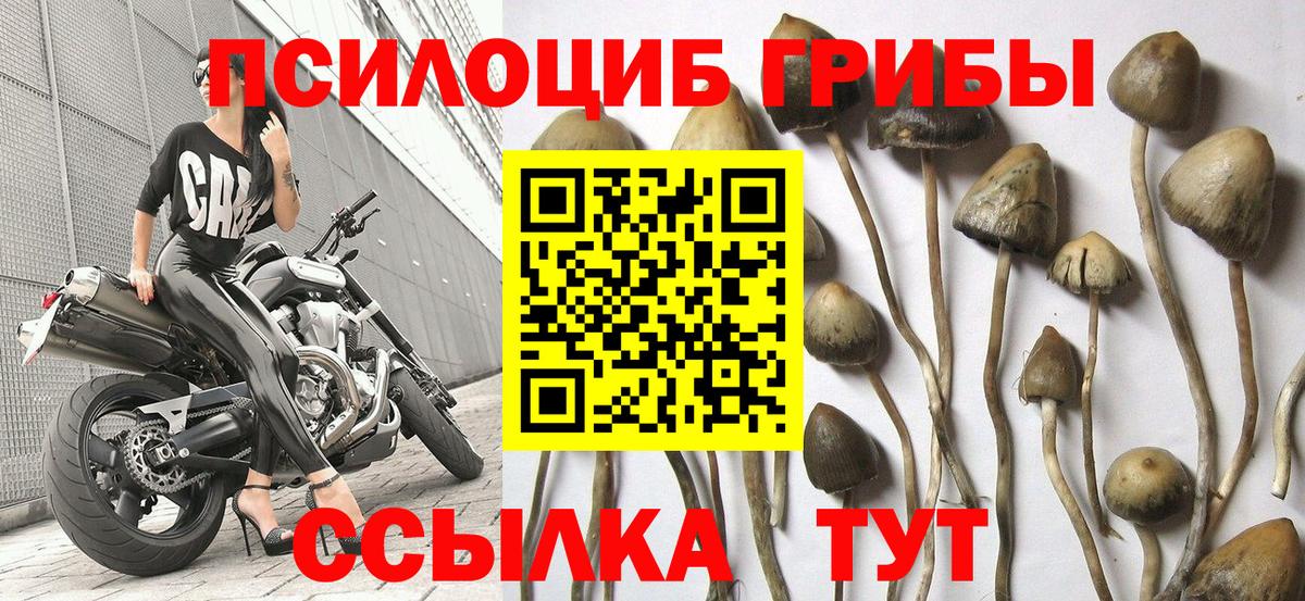 Дятьково  Галлюциногенные грибы прущие грибы  Псилоцибиновые грибы GOLDEN TEACHER  Вход с VPN 