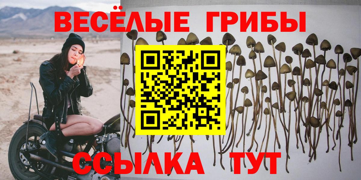Галлюциногенные грибы мицелий Дятьково