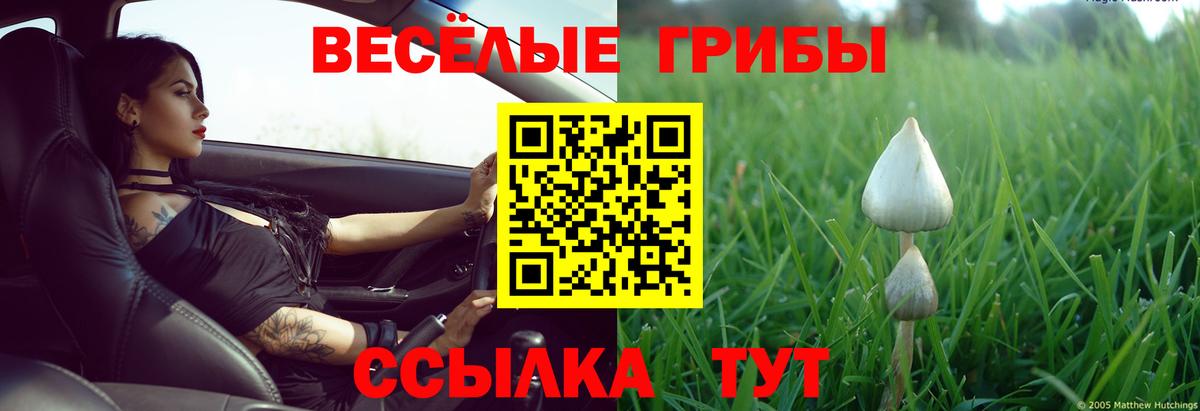 Галлюциногенные грибы Cubensis  закладки  Галлюциногенные грибы Psilocybe  Дятьково 