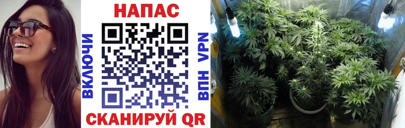 блэк спрут сайт  Дятьково  дарк нет клад  Конопля OG Kush 